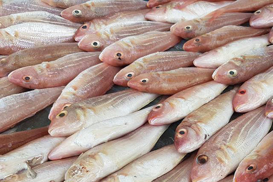 Fresh (sankara) fish - 1kg