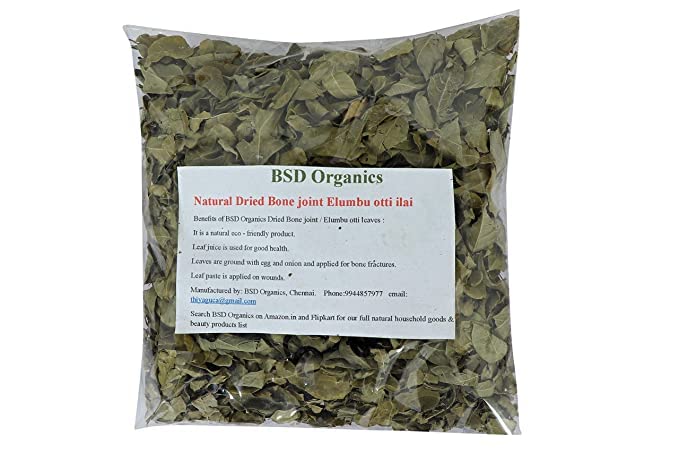 BSD Organics Natural powder Bone joint Elumbu otti ilai/Kooravaal Chedi/Kodali soppu/Murikootipacha/kolagohoma (50 gram / 1.7 ounce)