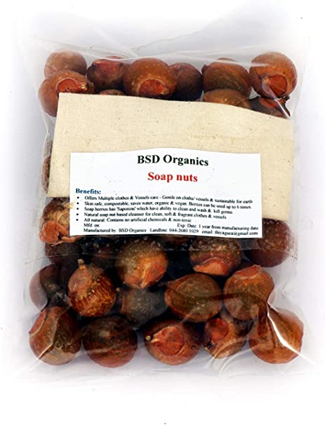 BSD Organics Soap Nuts (Reetha, Areetha, kunkudukaialu) - 100 Grams